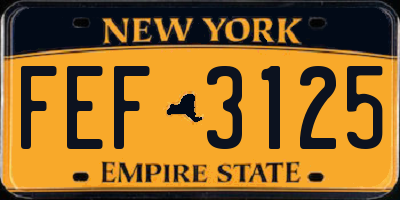 NY license plate FEF3125