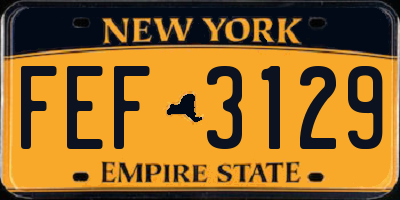 NY license plate FEF3129