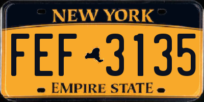 NY license plate FEF3135