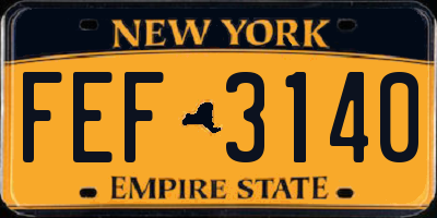 NY license plate FEF3140