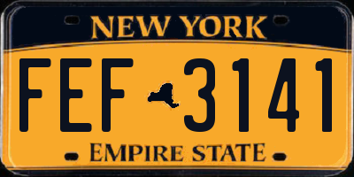 NY license plate FEF3141