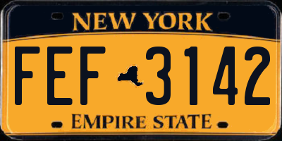 NY license plate FEF3142