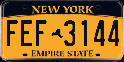 NY license plate FEF3144