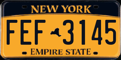 NY license plate FEF3145