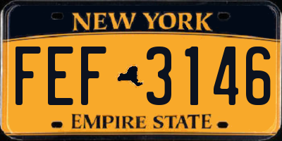 NY license plate FEF3146