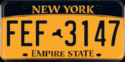 NY license plate FEF3147