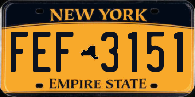 NY license plate FEF3151
