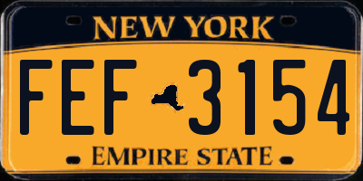 NY license plate FEF3154