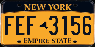 NY license plate FEF3156