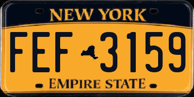 NY license plate FEF3159