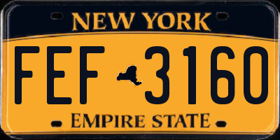 NY license plate FEF3160