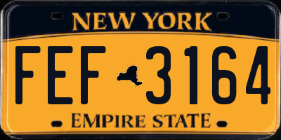 NY license plate FEF3164