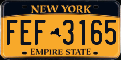 NY license plate FEF3165