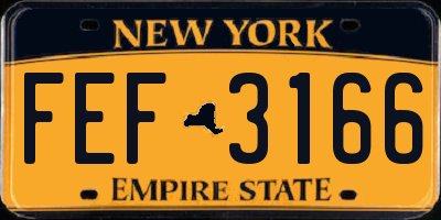 NY license plate FEF3166