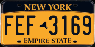 NY license plate FEF3169