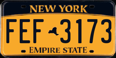 NY license plate FEF3173