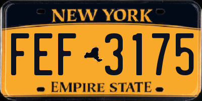 NY license plate FEF3175