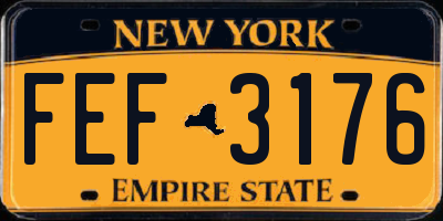 NY license plate FEF3176