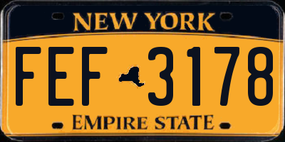 NY license plate FEF3178
