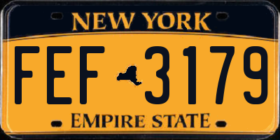 NY license plate FEF3179