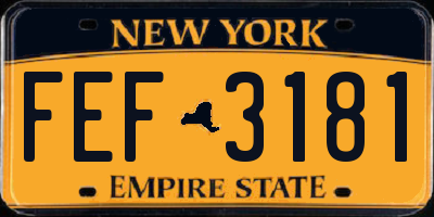 NY license plate FEF3181