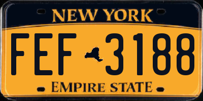NY license plate FEF3188