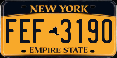 NY license plate FEF3190