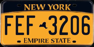 NY license plate FEF3206