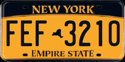 NY license plate FEF3210