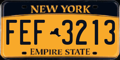 NY license plate FEF3213