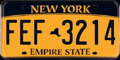 NY license plate FEF3214