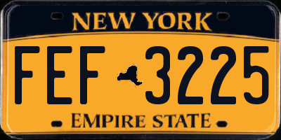 NY license plate FEF3225