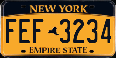 NY license plate FEF3234