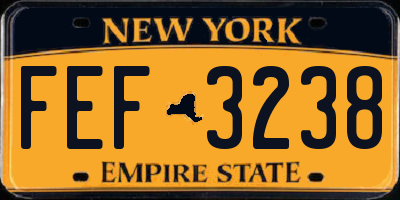 NY license plate FEF3238