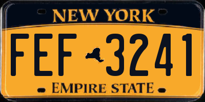 NY license plate FEF3241