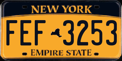 NY license plate FEF3253