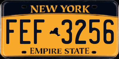 NY license plate FEF3256
