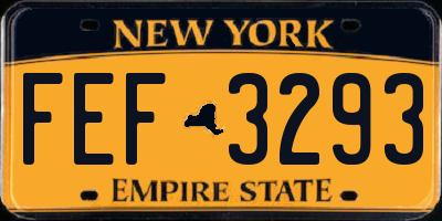NY license plate FEF3293