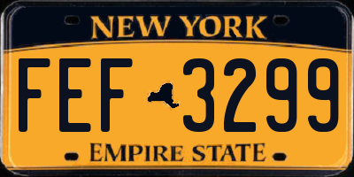 NY license plate FEF3299