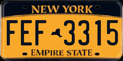 NY license plate FEF3315