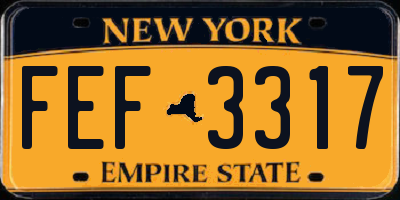 NY license plate FEF3317