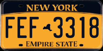 NY license plate FEF3318