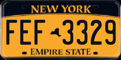 NY license plate FEF3329