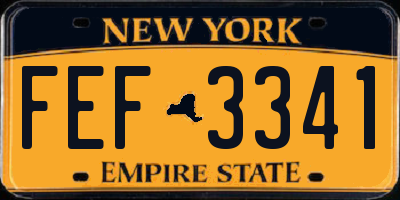 NY license plate FEF3341