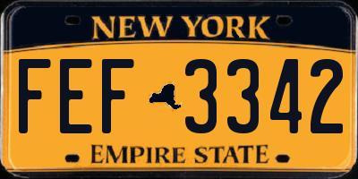 NY license plate FEF3342