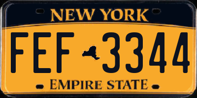 NY license plate FEF3344
