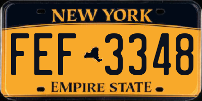 NY license plate FEF3348