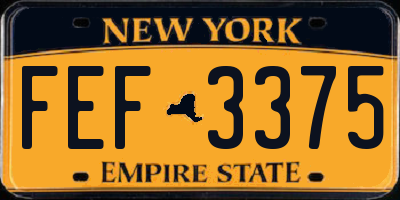 NY license plate FEF3375
