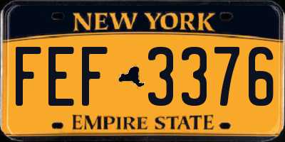 NY license plate FEF3376
