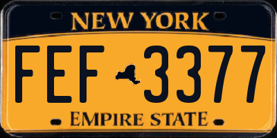 NY license plate FEF3377